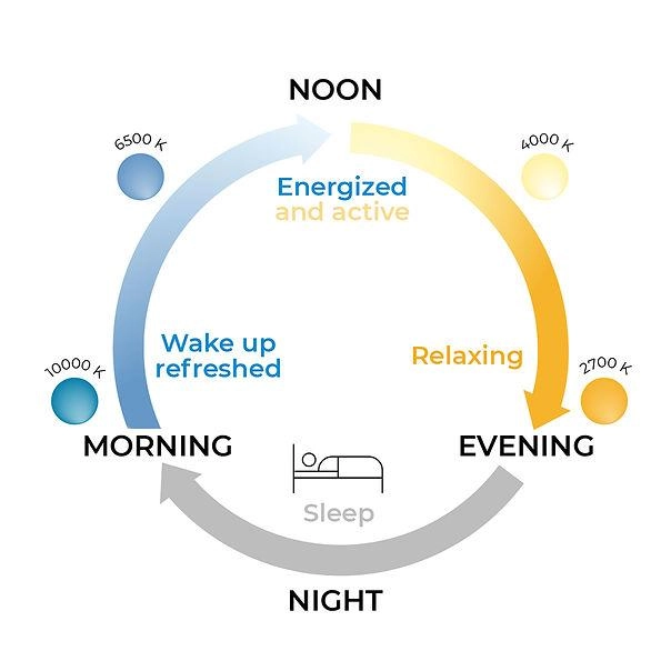 Circadian lighting cycle from bright cool morning light to warm evening light and darkness at night